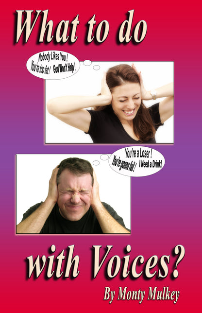 25 What to do with Voices
